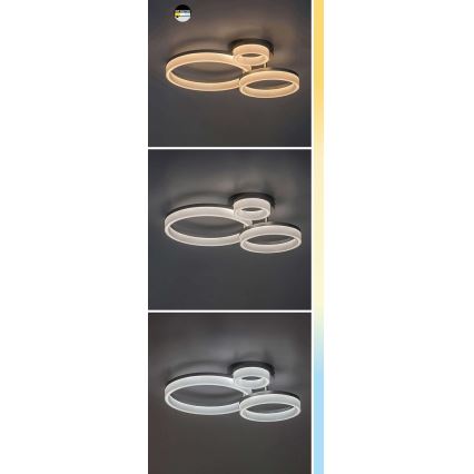 Rabalux - Plafón LED LED/24W/230V 3000/4000/6500K negro