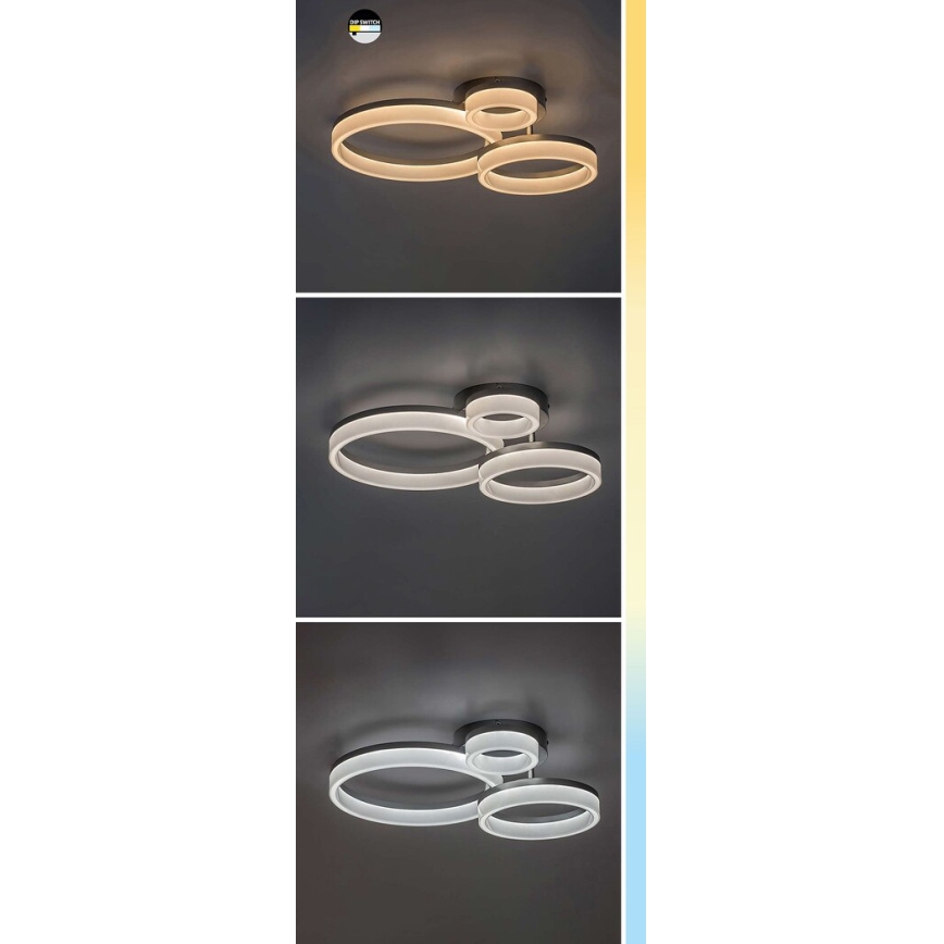 Rabalux - Plafón LED LED/24W/230V 3000/4000/6500K negro