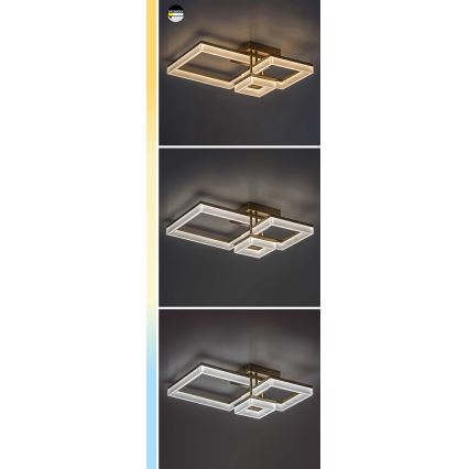 Rabalux - Plafón LED LED/22W/230V 3000/4000/6500K cromo mate