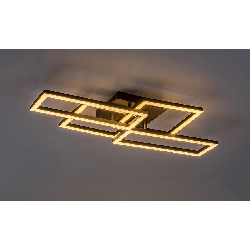 Rabalux - Plafón LED regulable LED/40W/230V 3000-6500K + control remoto
