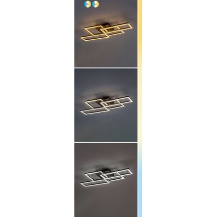 Rabalux - Plafón LED regulable LED/40W/230V 3000-6500K + control remoto