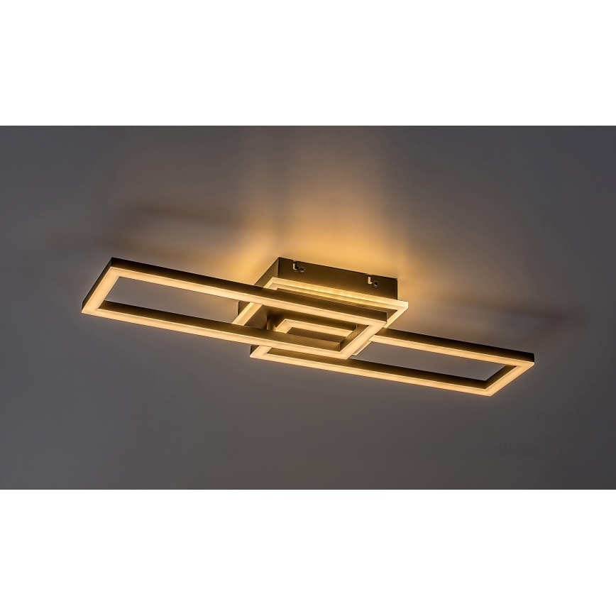 Rabalux - Plafón LED regulable LED/30W/230V 3000-6500K + control remoto