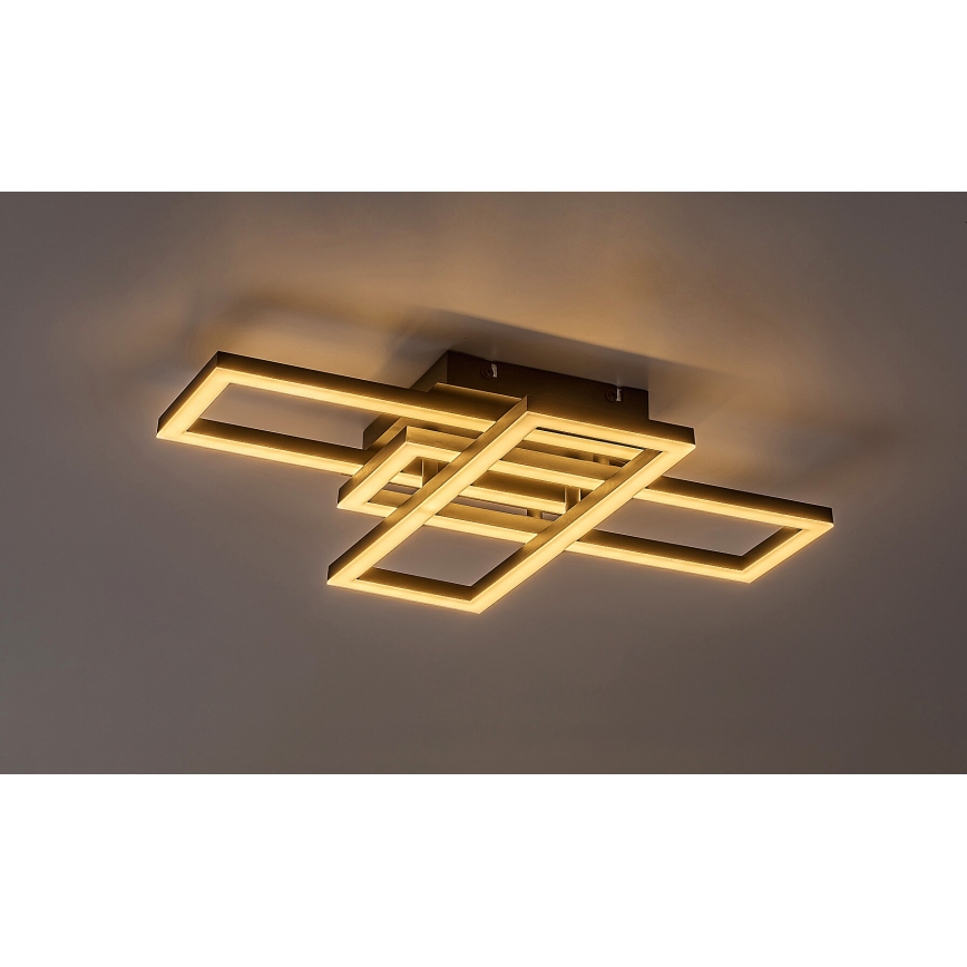 Rabalux - Plafón LED regulable LED/40W/230V 3000-6500K + control remoto
