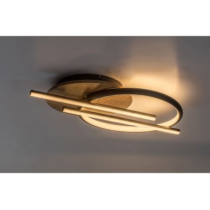 Rabalux - Plafón LED LED/40W/230V 3000/4000/6500K