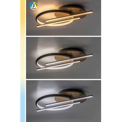 Rabalux - Plafón LED LED/40W/230V 3000/4000/6500K
