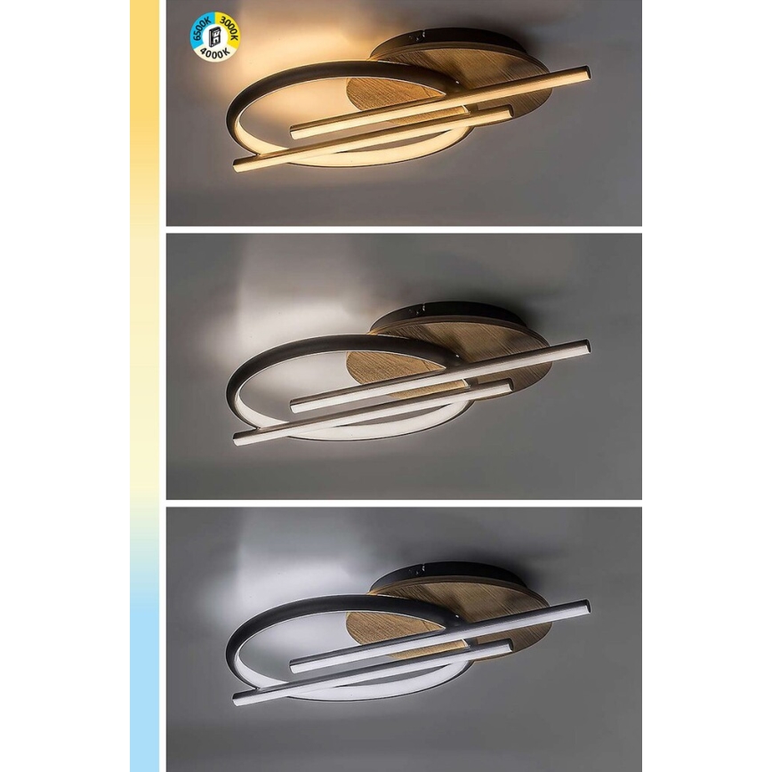 Rabalux - Plafón LED LED/40W/230V 3000/4000/6500K