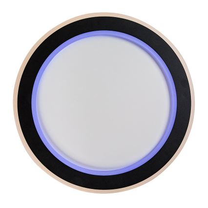 Rabalux - Plafón LED RGB regulable LED/22W/230V 3000-6500K + control remoto