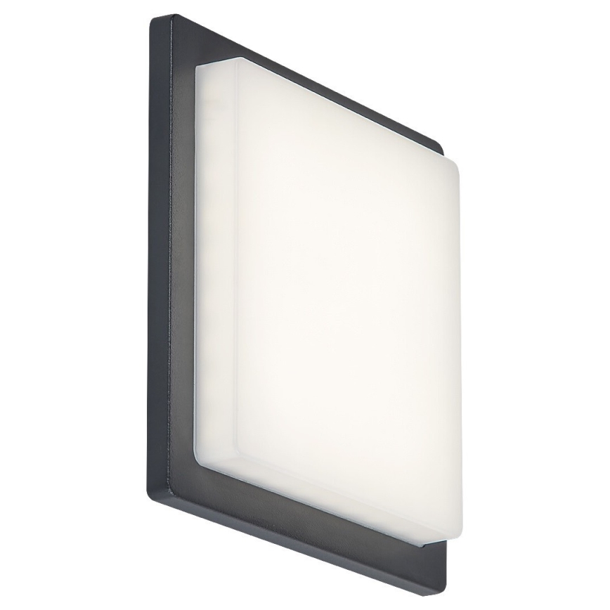 Rabalux - Aplique LED para exterior LED/8W/230V IP65