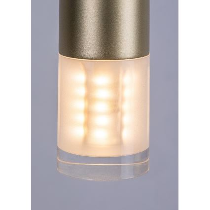 Rabalux - Lámpara colgante 1xG9/5W/230V dorado