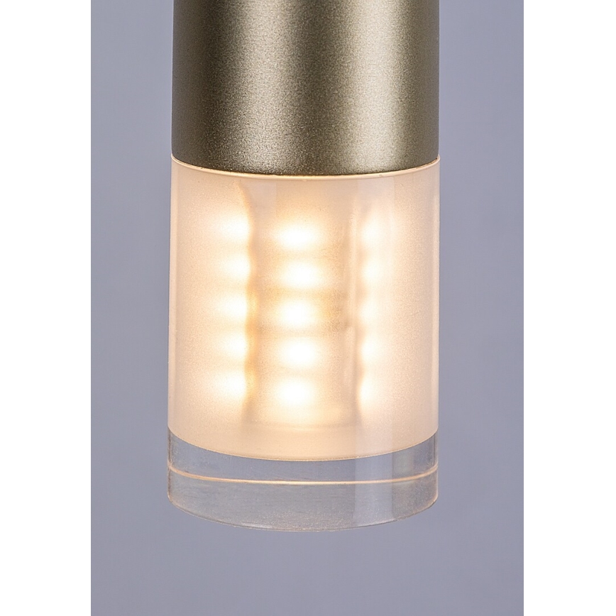 Rabalux - Lámpara colgante 1xG9/5W/230V dorado