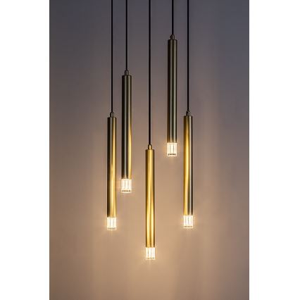 Rabalux - Lámpara colgante 5xG9/5W/230V dorado