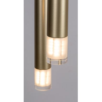Rabalux - Lámpara colgante 5xG9/5W/230V dorado