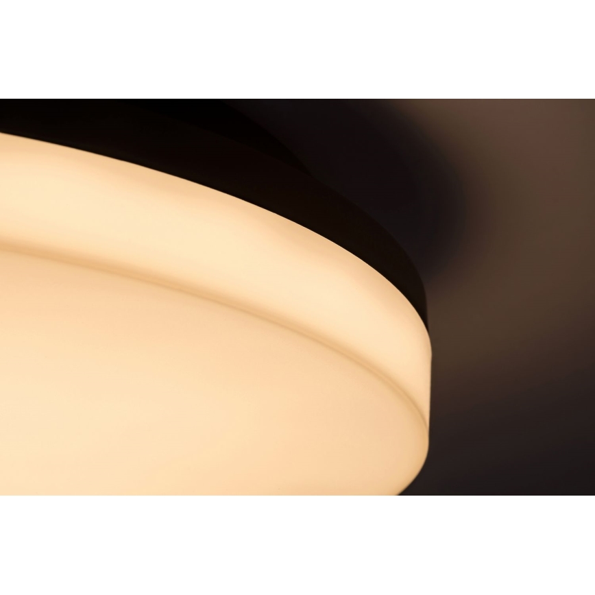 Rabalux - Plafón LED de baño LED/24W/230V IP54