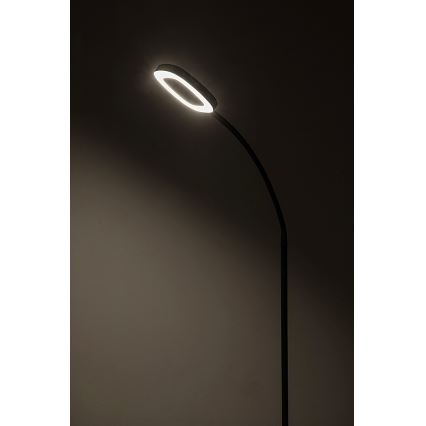 Rabalux - Lámpara de pie LED táctil regulable LED/11W/230V 3000K