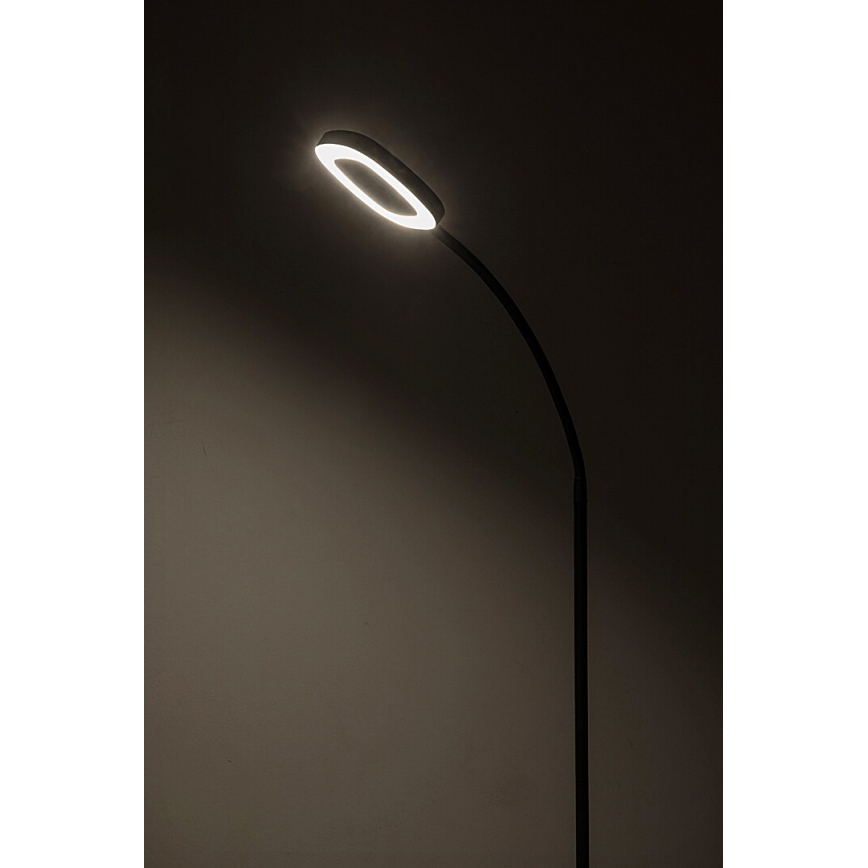 Rabalux - Lámpara de pie LED táctil regulable LED/11W/230V 3000K