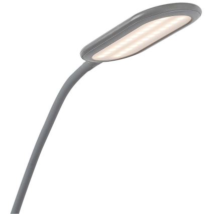 Rabalux - Lámpara de pie LED táctil regulable LED/10W/230V gris