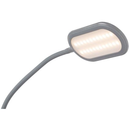 Rabalux - Lámpara de pie LED táctil regulable LED/10W/230V gris