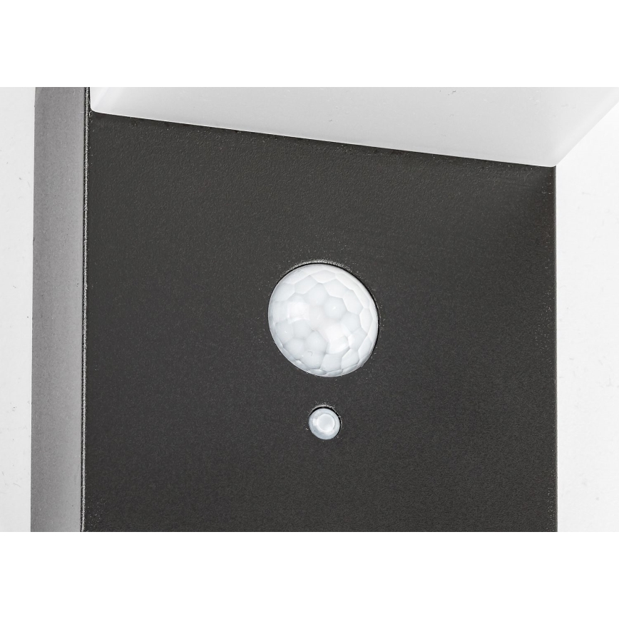 Rabalux - Lámpara solar LED con sensor LED/6W/3,7V IP44