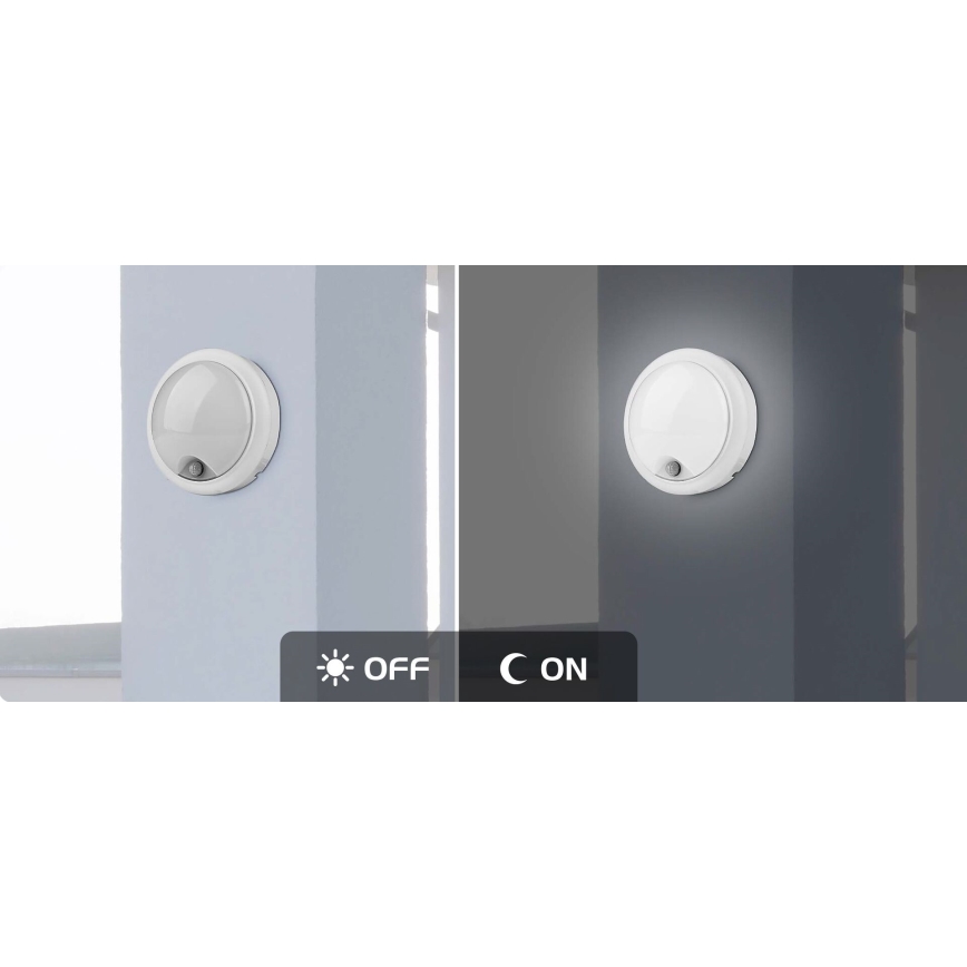 Rabalux - Aplique LED exterior con sensor LED/15W/230V IP54
