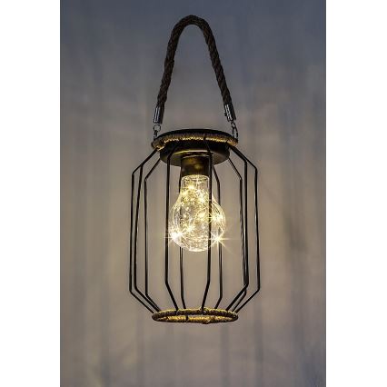 Rabalux - Lámpara solar LED LED/0,2W/1,2V IP44