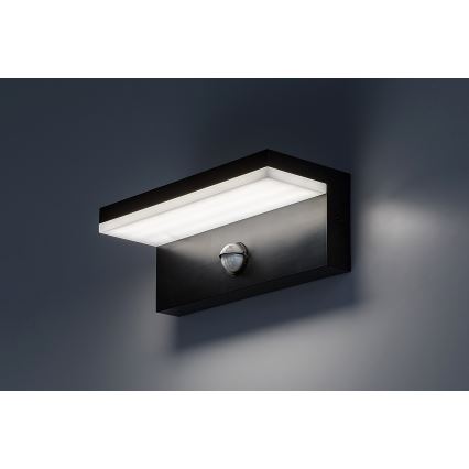 Rabalux - LED Aplique para exterior con sensor LED/9W/230V 2700/4000/6500K IP54 negro