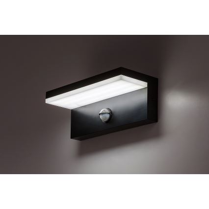 Rabalux - LED Aplique para exterior con sensor LED/9W/230V 2700/4000/6500K IP54 negro