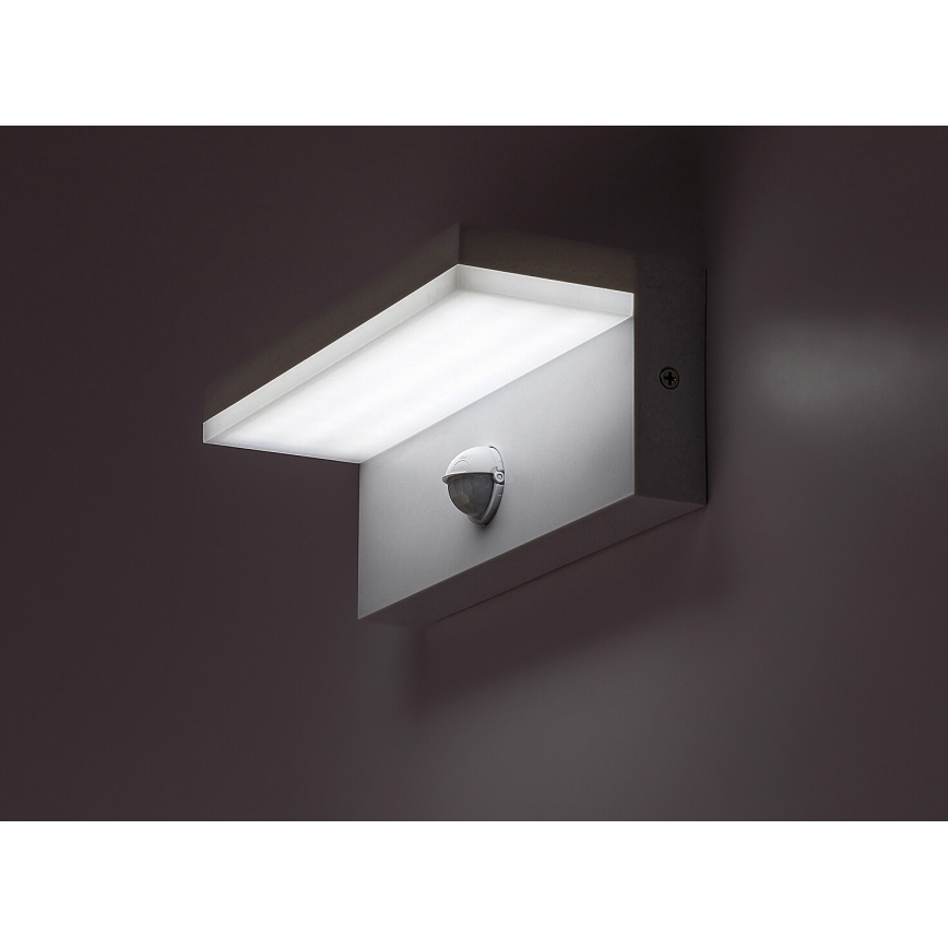 Rabalux - LED Aplique para exterior con sensor LED/9W/230V 2700/4000/6500K IP54 blanco