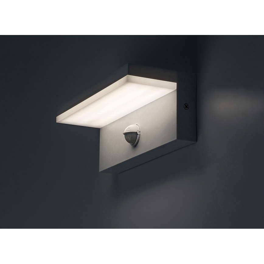 Rabalux - LED Aplique para exterior con sensor LED/9W/230V 2700/4000/6500K IP54 blanco