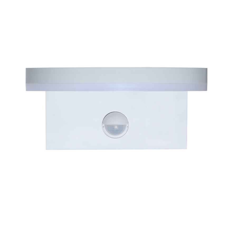 Rabalux - LED Aplique para exterior con sensor LED/9W/230V 2700/4000/6500K IP54 blanco