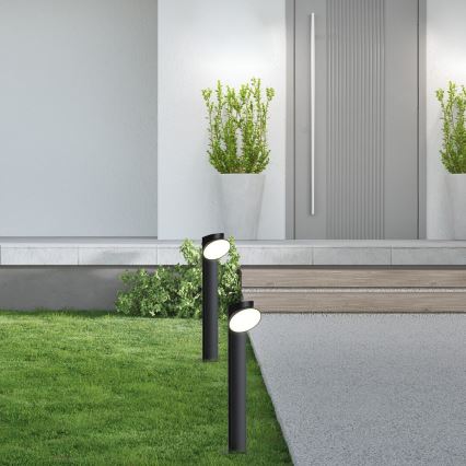 Rabalux - Lámpara LED de exterior LED/12W/230V IP54