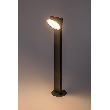Rabalux - Lámpara LED de exterior LED/12W/230V IP54