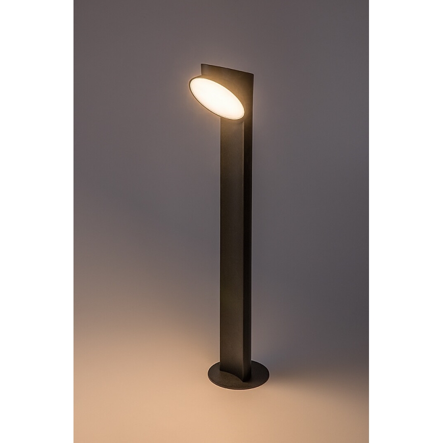 Rabalux - Lámpara LED de exterior LED/12W/230V IP54