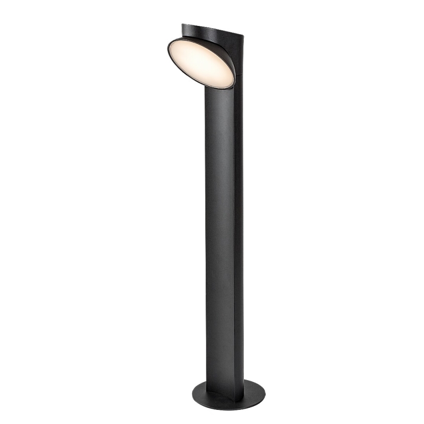Rabalux - Lámpara LED de exterior LED/12W/230V IP54