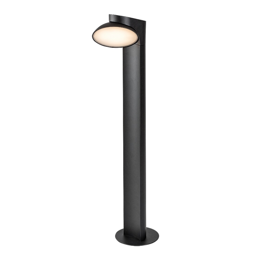 Rabalux - Lámpara LED de exterior LED/12W/230V IP54