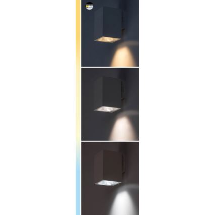Rabalux - Aplique LED para exterior LED/18W/230V 2700/4000/6500K IP65 negro