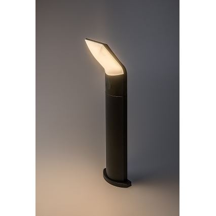 Rabalux - Lámpara LED de exterior LED/10W/230V IP54