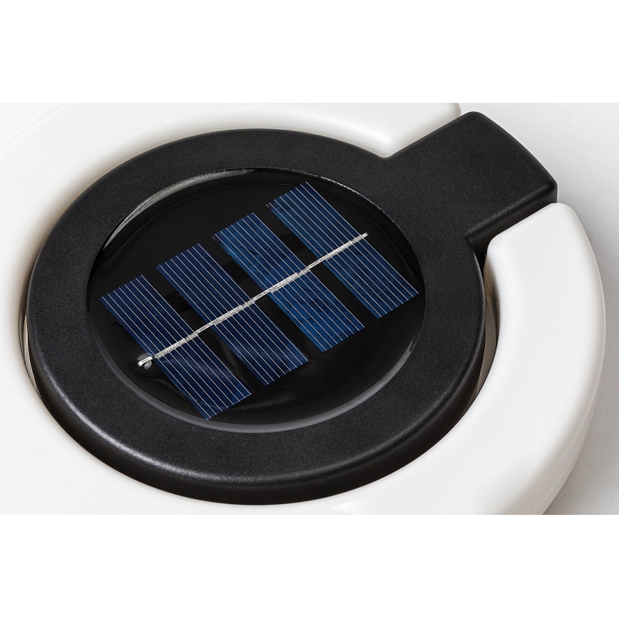 Rabalux - Lámpara solar LED LED/0,05W/1,2V IP44