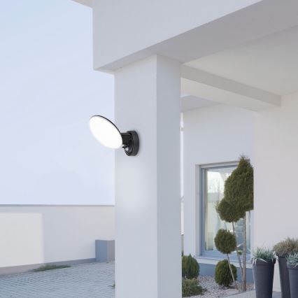 Rabalux 8135 - LED Aplique exterior con sensor VARNA LED/12W/230V IP54