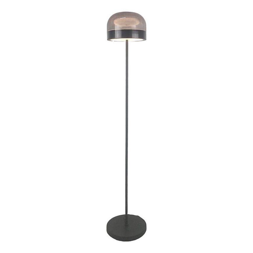 Rabalux - Lámpara de pie LED regulable LED/20W/230V 3000/4000/6000K