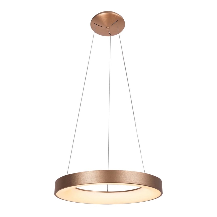 Rabalux - Lámpara LED colgante CARMELLA LED/80W/230V