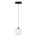 Rabalux - Lámpara LED colgante para sistema de raíles monofásico LED/5W/230V 3000K negro
