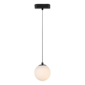 Rabalux - Lámpara LED colgante para sistema de raíles monofásico LED/5W/230V 3000K negro