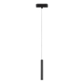 Rabalux - Lámpara LED colgante para sistema de raíles monofásico LED/5W/230V 4000K negro