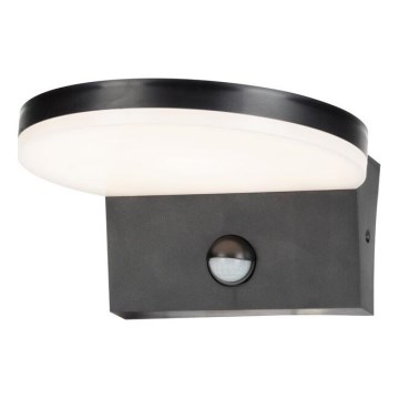 Rabalux - LED Aplique para exterior con sensor LED/9W/230V 2700/4000/6500K IP54 negro
