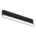 Rabalux - LED Plafón para sistema de raíles monofásico LED/16W/230V 3000K 33 cm negro