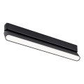 Rabalux - LED Plafón para sistema de raíles monofásico LED/16W/230V 4000K 33 cm negro
