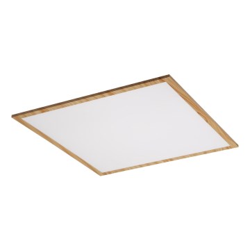 Rabalux - Panel LED fijo LED/40W/230V 4000K
