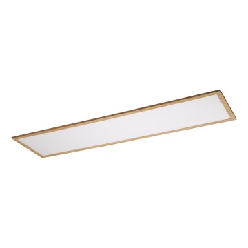 Rabalux - Panel LED fijo LED/40W/230V 4000K