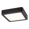 Rabalux - Plafón LED LED/15W/230V 3000K 16x16 cm negro