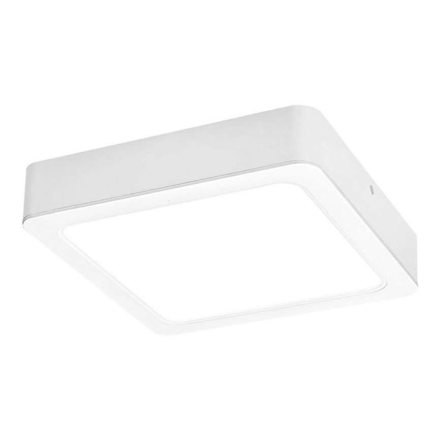 Rabalux - Plafón LED LED/18W/230V 17 cm